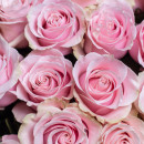 Букет Розовый шейк из розовых роз maxi