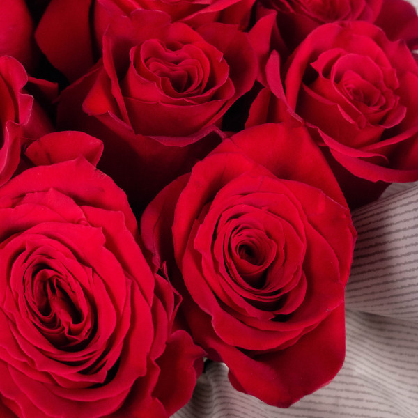 Букет &quot;Комплимент&quot; Красная роза в шляпной коробке, 15 шт., Эквадор вид 2