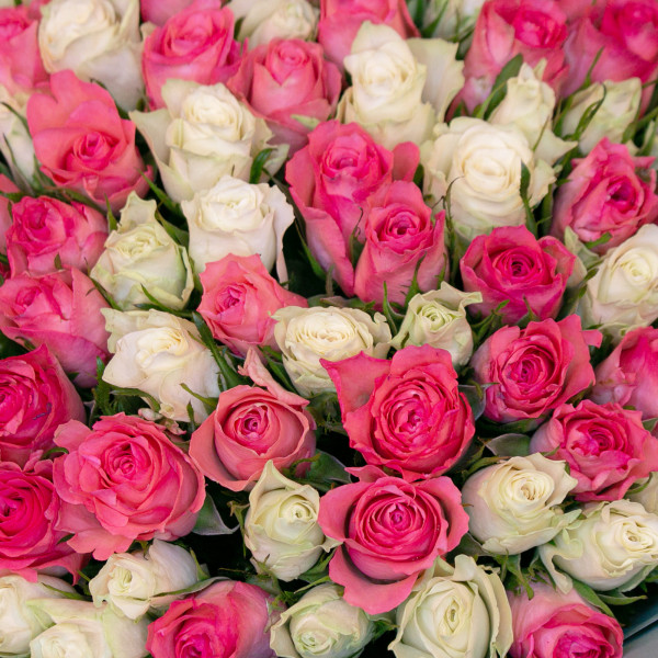 Букет из 101 белой и розовой кенийской розы вид 3