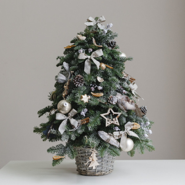 Новогодняя елка из нобилиса